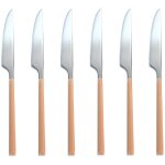 Lot de 6 couteaux en acier inoxydable, colorama