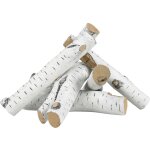 Lot de 6 grandes bûches de bouleau blanc, bûches de cheminée en céramique résistantes à la chaleur, branches ... Lot de 6 grandes bûches de bouleau blanc, bûches de cheminée en céramique résistantes à la chaleur, branches ...
