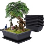 Lot de 6 pot pour bonsai avec soucoupe, 16x12x6cm pots de fleurs en plastique avec outillage de jardin, ...