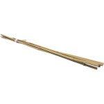 Lot de 6 tuteurs en bambou werka pro h 180 cm (�16 - 18mm)