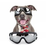 Lunettes pour chiens de grande et moyenne taille, protection uv, coupe - vent, �lastique r�glable, noires ...