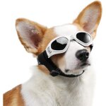 Lunettes de soleil pour animaux de compagnie avec protection uv