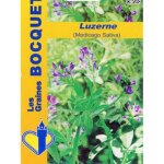 Luzerne le sachet de 500 graines (1g)
