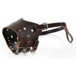 M - muselière pour chien en cuir muselière anti - aboiement museau de chien pour les chiens grands petite ... M - muselière pour chien en cuir muselière anti - aboiement museau de chien pour les chiens grands petite ...