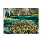 Maillestore - filet de rcolte pantalon 50gr / m vert 12m x 12m