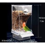 Mangeoire automatique pour oiseaux, mangeoire pour oiseaux sans gchis, mangeoire pour cage  oiseaux, ...