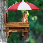 Mangeoire pour �cureuils avec 2 parapluies