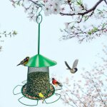Mangeoire pour oiseaux domestique sauvage suspendue en mtal, station d'alimentation exterieur avec - ...