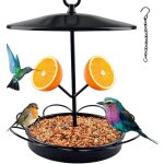 Mangeoire oiseaux exterieur, station d'alimentation pour oiseaux sauvages, mangeoire  oiseaux maison ...