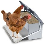 Mangeoire poules automatique 5kg ? distributeur en acier galvanis avec pdale auto - ouverte et couvercle ...