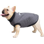 Manteau pour chien et chat avec laisse, couleur ancre, gilet pour chiot, veste, costume de carlin (gris) ...