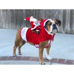 Manteau pour chien noel, avec le pre nol sur son chat pull chien noel rouge - l