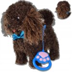 Mascotte interactive de chien caniche qui marche et aboie pour enfants Mascotte interactive de chien caniche qui marche et aboie pour enfants