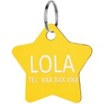 Mdaille d'identification pour chien et chat, pendentif avec gravure en or