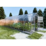 Meistro kodas - certifi� serre klasikadrop 20m2, 2, 5m x 8m, 4 mm avec rev�tement en polycarbonate