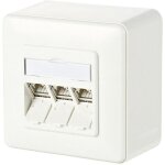 Prise réseau montage apparent (en saillie) cat 6a 3 ports metz connect 130b11d30002 - e blanc pur r01963 ... Prise réseau montage apparent (en saillie) cat 6a 3 ports metz connect 130b11d30002 - e blanc pur r01963 ...