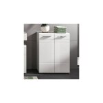 Ebuy24 - meuble de rangement 2 portes 60x30x80 cm blanc brillant et gris - copa