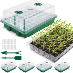 Mini serre pour plantes, xl intrieure plateau semis avec couvercles rehausss, 38x24x12 cm bac  semis ...