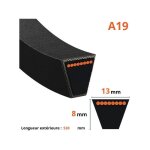 Courroie lisse trap�zo�dale mitsuboshi a19