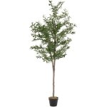 Olivier artificiel 180 cm d�coratif, plante verte grande avec tronc en bois naturel et fruits en plastique, ...