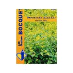 Moutarde blanche - engrais vert pour 100 m