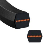 Courroie lame autoporte mtd hexagonale - 754 - 04175