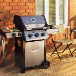 Napoleon - pack barbecue � gaz freestyle 365 + plancha & housse