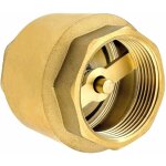 Nazalus - vente chaude - clapet anti - retour premium 1 1 / 4' en laiton de haute qualit robuste, antirouille ...