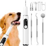 Nettoyeur de tartre, detartreur dentaire ultrasone, 5 modes de nettoyage avec led, d�tartreur dentaire ...