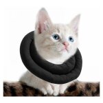 Noir collerette pour chat rglable, collier de rcupration doux pour chat, collier de protection pour ...