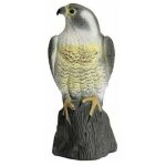 Odipie - grand leurre r�aliste pour faucon garden mile, r�pulsif pour oiseaux, antiparasitaire r�aliste ...