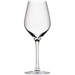 Ogo living - lot de 6 verres � pieds 25cl, zenith