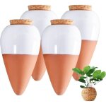 Ollas terre cuite � planter, oyas a planter terre cuite, arrosage automatique et ecologique pour plante ...