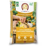 Or brun - terreau agrumes et plantes méditerranéennes - sac de 6 litres Or brun - terreau agrumes et plantes méditerranéennes - sac de 6 litres