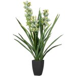 Orchide cymbidium 70 x 70 x 110 cm