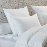 Oreiller 30% duvet de canard proneem - ferme - 65 / 65 - dodo