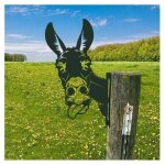Ornements de jardin, d'�ne en m�tal, pour cl�tures d�corations en plein air maison �ne animaux jardin ...