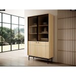 Otitec - biblioth�que vitr�e ? l. 104 x h. 185 x p. 39 cm ? osaka