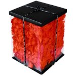 Ours rose 40cm coeur rouge + emballage et p�tales