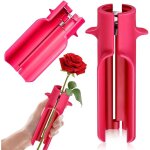 Outil pour enlever les pines de rosier, outil pour enlever les pines et les feuilles, nettoyeur de ...