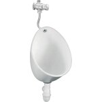 Pack urinoir jacob delafon coquille + robinet temporis apparent