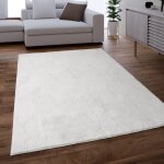 Paco home - tapis salon en fausse fourrure pelucheux hautes m�ches doux plusieurs couleurs 300x400 cm, ...
