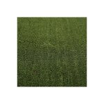 Paillasson - tapis brosse coco - vert - ep. 17mm - rouleau de 2m x 1m