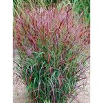 Panic effil� 'prairie sky' pot de 2l / 3l