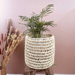 Panier cache - pot en palmier pour toutes vos plantes ou fleurs