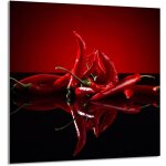 Panneau de verre pour cuisine 60x65 piment