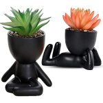 Paquet de 2 plantes de cactus succulentes plantes grasses en céramique noire, petites fleurs bonsaï artificiel ... Paquet de 2 plantes de cactus succulentes plantes grasses en céramique noire, petites fleurs bonsaï artificiel ...