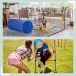 Parcours d'agilit� pour chiens avec tunnel, haies et slalom