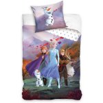 Parure de lit en coton 160x200 la reine des neiges anna et elsa