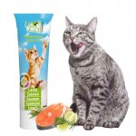 Pâte de poisson aromatisée à lécher pour chats, au saumon, à tartiner en tube Pâte de poisson aromatisée à lécher pour chats, au saumon, à tartiner en tube